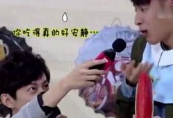 多多娱乐吃瓜,揭秘娱乐圈吃瓜背后的真相与笑料